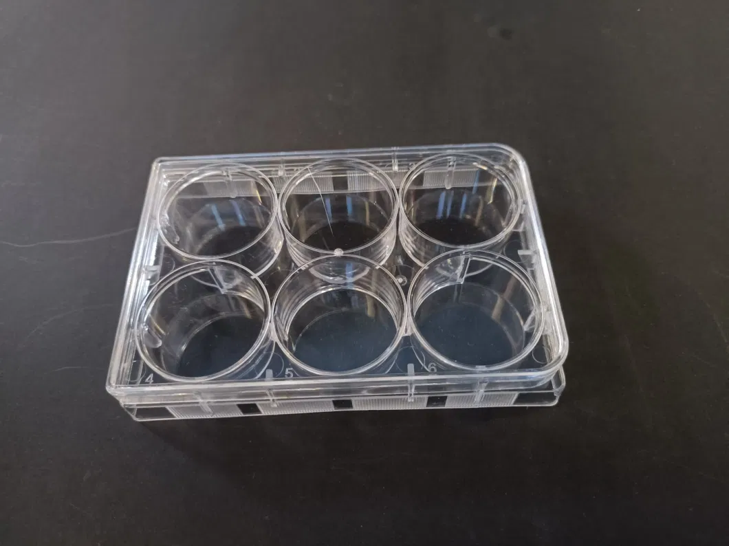 Consumables 60mm 96 Well Plate for PCR Plastic Petri Dish